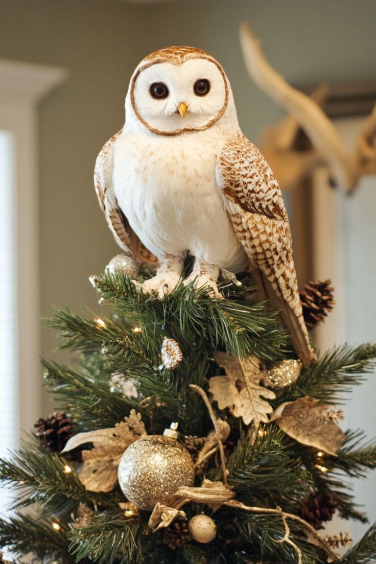 Як прикрасити ялинку на Новий рік, в якому кольорі та стилі? Фото ідей %D0%B2%D0%B5%D1%80%D1%856 17, 28, Як прикрасити ялинку на Новий рік, в якому кольорі та стилі? Фото ідей как нарядить елку