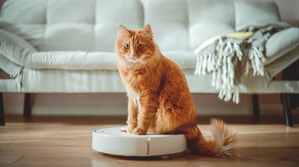 Що можна подарувати мамі на Новий Рік-2026? 120 теплих та затишних ідей %D0%BF%D1%8B%D0%BB%D0%B5%D1%81%D0%BE%D1%81, 12, Що можна подарувати мамі на Новий Рік-2026? 120 теплих та затишних ідей мамі на Новий рік