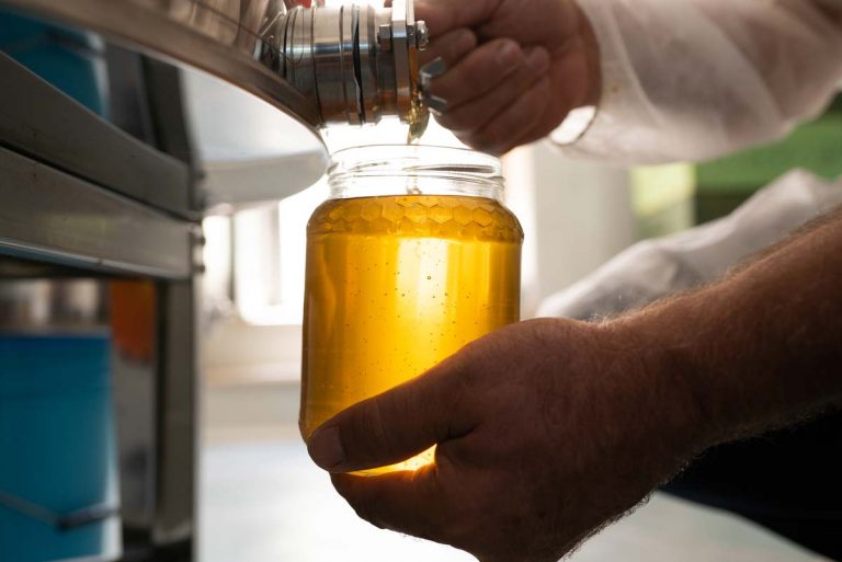 Секрети меду: який сорт справді приносить максимальну користь 2 37, 7, Секрети меду: який сорт справді приносить максимальну користь мед