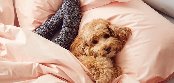 Що таке перкаль: особливості тканини, плюси, мінуси та правила догляду 4 kopiya, 1, Що таке перкаль: особливості тканини, плюси, мінуси та правила догляду перкаль