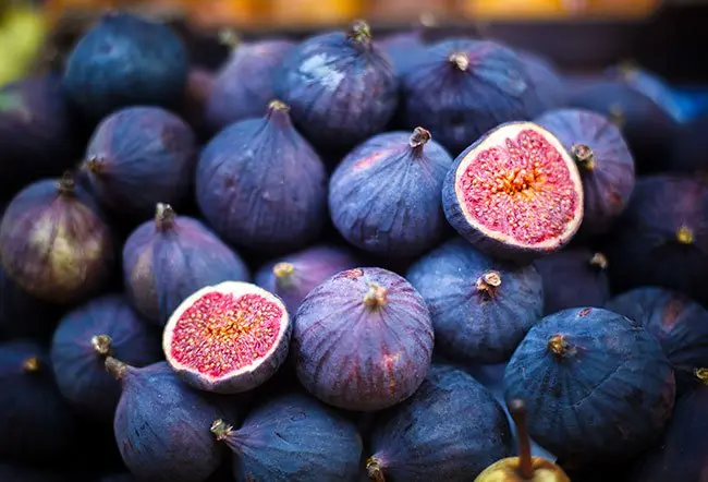 Чим корисний інжир для здоров'я людини: корисні властивості та протипоказання 7 4, 1, Чим корисний інжир для здоров'я людини: корисні властивості та протипоказання инжир