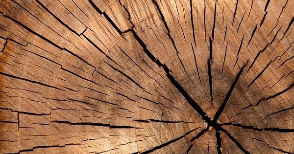 Що таке віскоза – це синтетика чи натуральна тканина? Все про догляд, плюси та мінуси матеріалу 8 kopiya, 2, Що таке віскоза – це синтетика чи натуральна тканина? Все про догляд, плюси та мінуси матеріалу вискоза