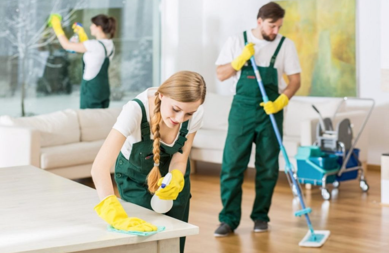 Когда стоит обратиться за профессиональной уборкой квартиры? разница профессионального клининга от обычной уборки
