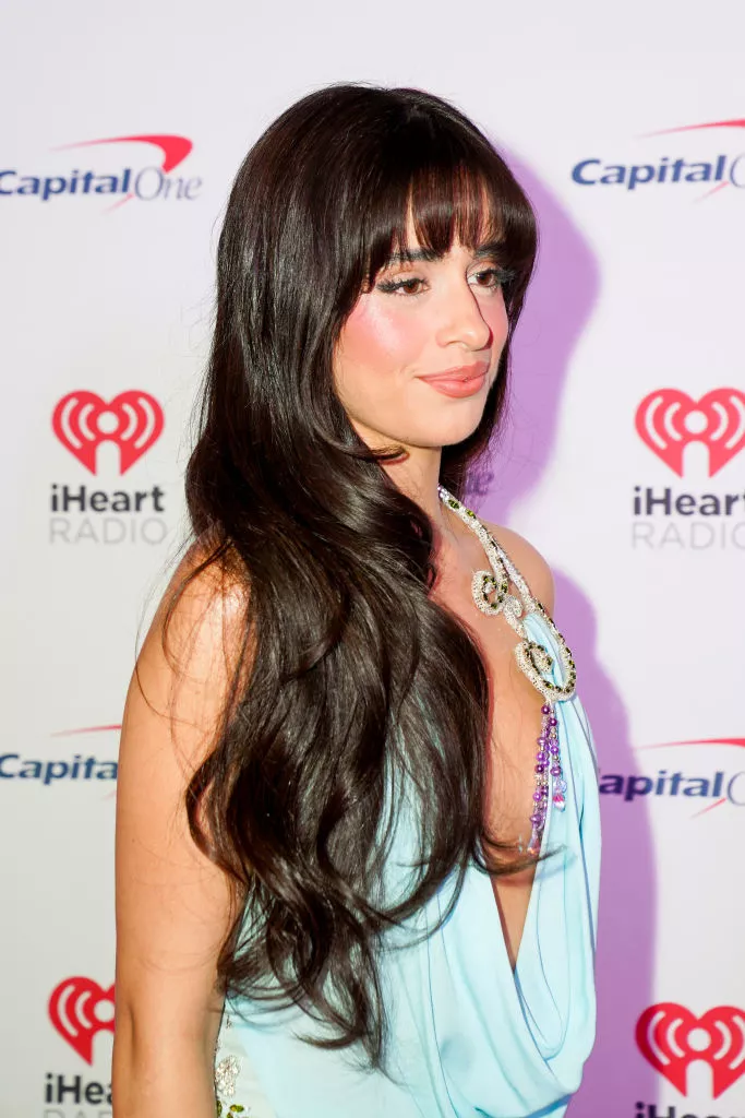 15 жіночих стрижок для круглого обличчя, які підкреслять вашу унікальність Стрижка бабочка з довгими шарами