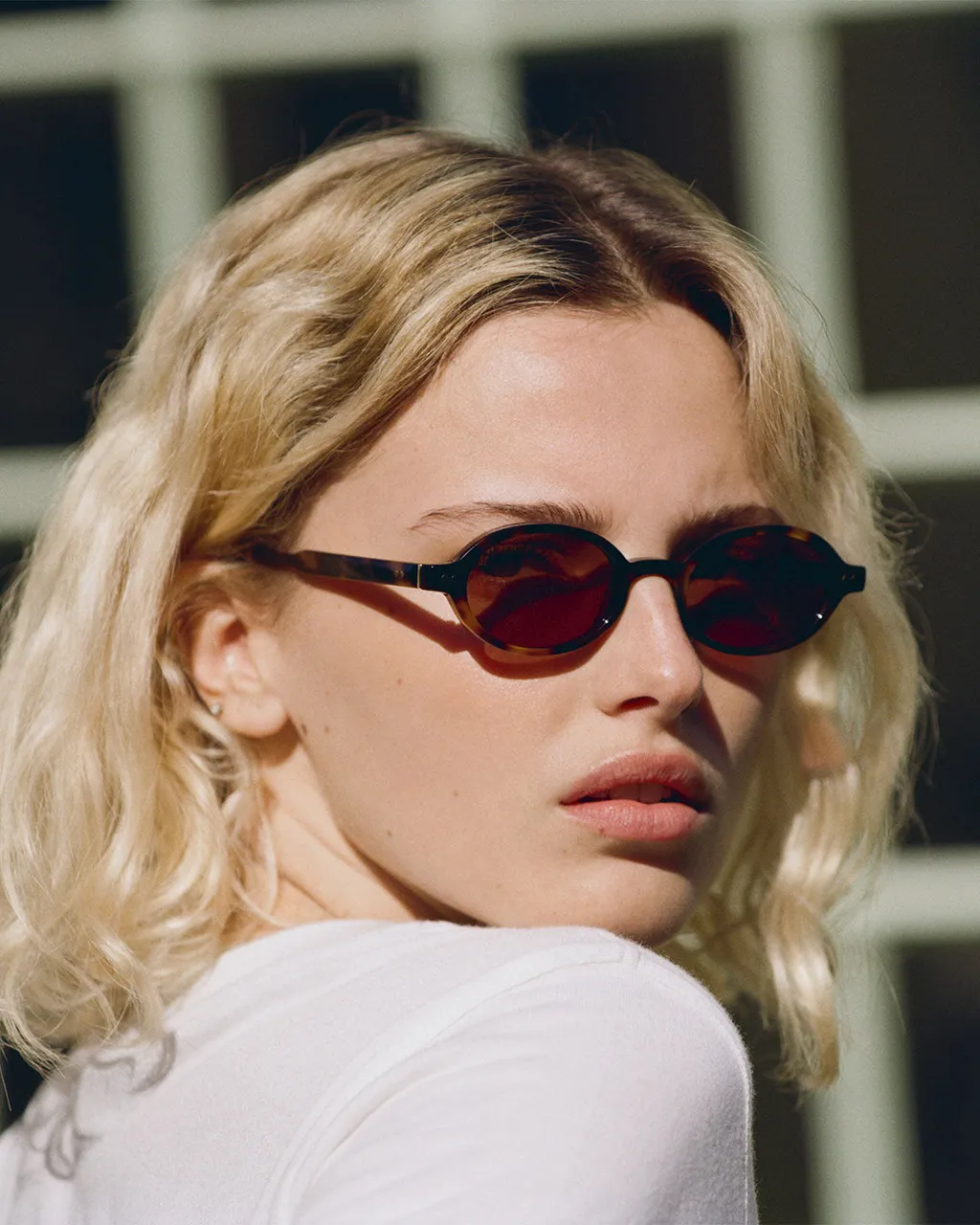 Як вибрати ідеальні сонцезахисні окуляри: тренди 2026 року cherepaha4, 41, Як вибрати ідеальні сонцезахисні окуляри: тренди 2026 року очки