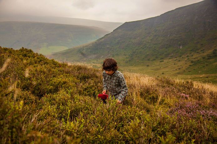 chernika 1, 3, Ягода, яка лікує: чим корисна чорниця для організму чорниця
