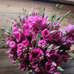 eustoma29, 8, Квітка еустома (фото): все про види, особливості догляду та правила посадки еустома