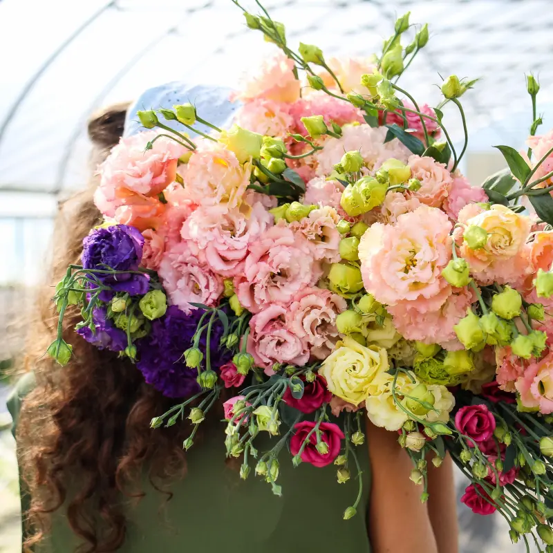 Величезний оберемок зрізаних еустом різних відтінків: рожеві, фіолетові, кремові та жовті