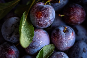 glavn 58, 74, Недооцінений суперфуд: відкрийте для себе всі корисні властивості сливи куртки