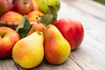 glavn 59, 49, Соковита користь: як груша може змінити ваше здоров'я дизайн детской комнаты для девочки