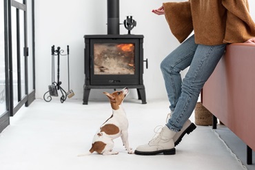 Почему стоит купить камин на дровах , 6, Почему стоит купить камин на дровах диван