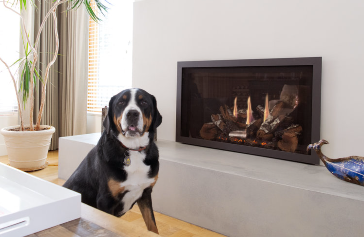 Почему чугунные топки лучший выбор для вашего камина? чугунные каминные топки