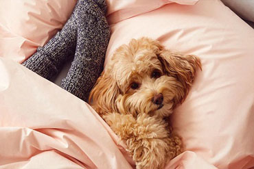 Що таке перкаль: особливості тканини, плюси, мінуси та правила догляду , 2, Що таке перкаль: особливості тканини, плюси, мінуси та правила догляду сатин