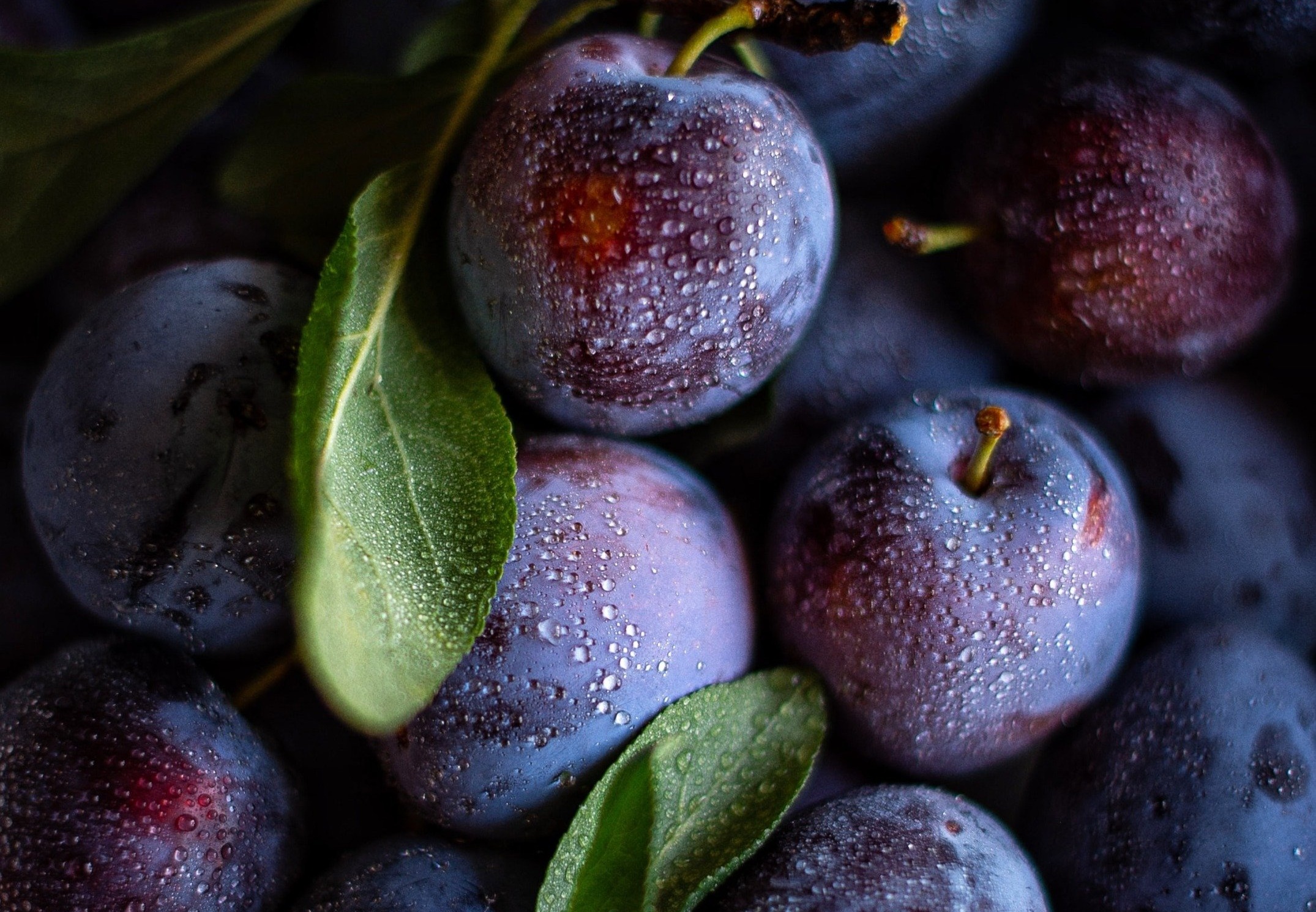 Недооцінений суперфуд: відкрийте для себе всі корисні властивості сливи plums 10 2, 1, Недооцінений суперфуд: відкрийте для себе всі корисні властивості сливи польза сливы