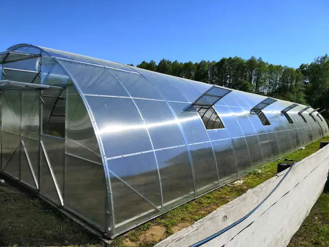 Сотовый поликарбонат для теплиц: надежность и эффективность для вашего хозяйства poli, 1, Сотовый поликарбонат для теплиц: надежность и эффективность для вашего хозяйства поликарбонат