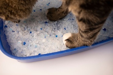 Наповнювач силікагель: властивості, плюси та мінуси , 12, Наповнювач силікагель: властивості, плюси та мінуси груша