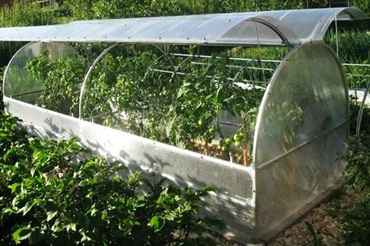 Теплиці для вашого бізнесу: як обрати ідеальне рішення , 3, Теплиці для вашого бізнесу: як обрати ідеальне рішення браслет