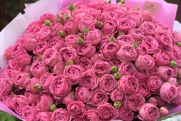 Букет з 51 троянди: вау-ефект, який запам'ятається надовго , 2, Букет з 51 троянди: вау-ефект, який запам'ятається надовго